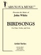 Birdsongs Flute Violin and Viola cover